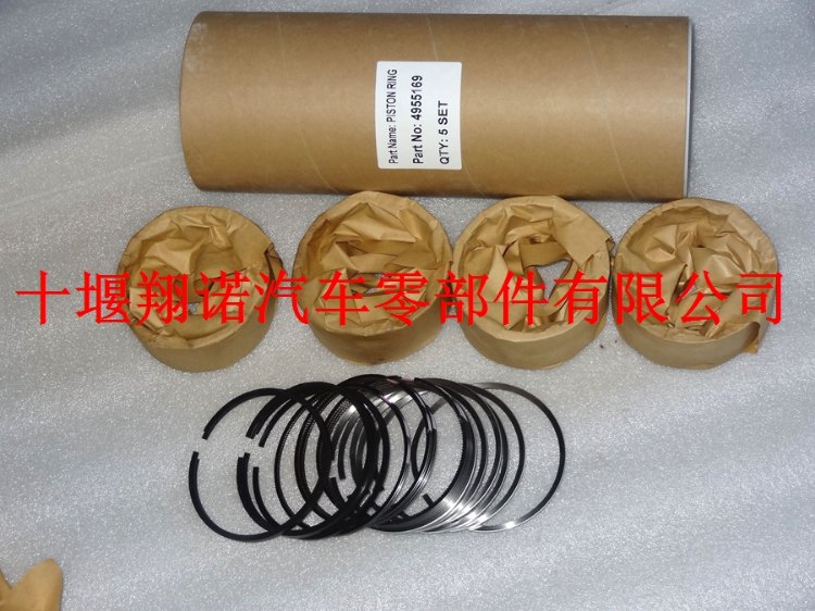 活塞环4955169.jpg