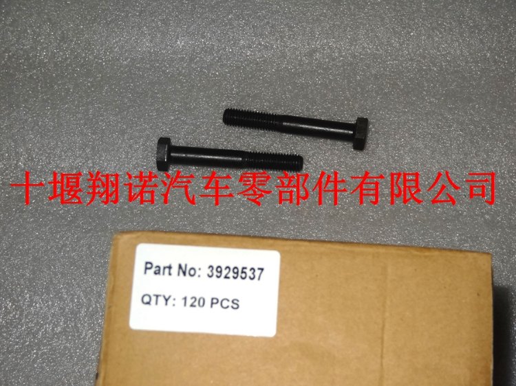 螺丝3929537.jpg