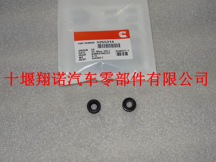 密封垫5255314.jpg
