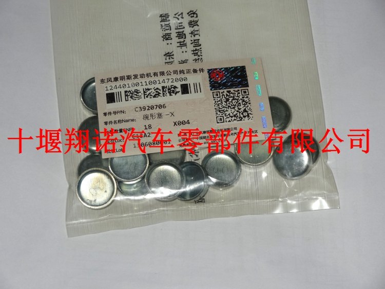 碗形塞DCEC 3920706.jpg