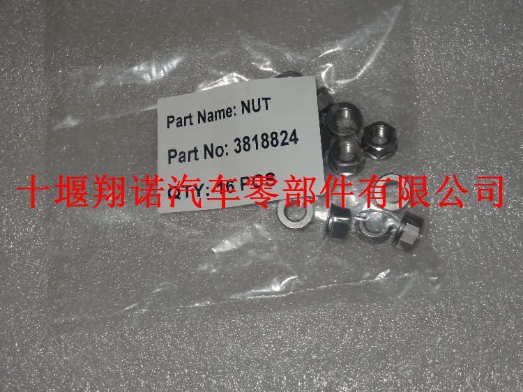 付厂 螺母3818824.jpg