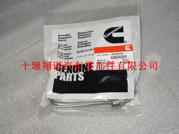 油管4935976.jpg