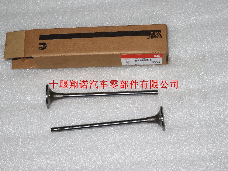 气门3685996.jpg