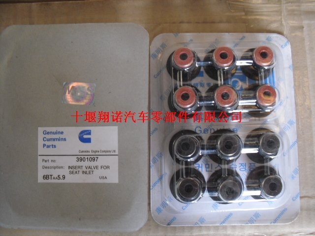 3901097 6BT气阀杆油封.jpg