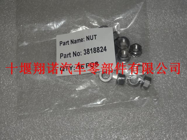 康明斯4BT增压器螺母 3818824