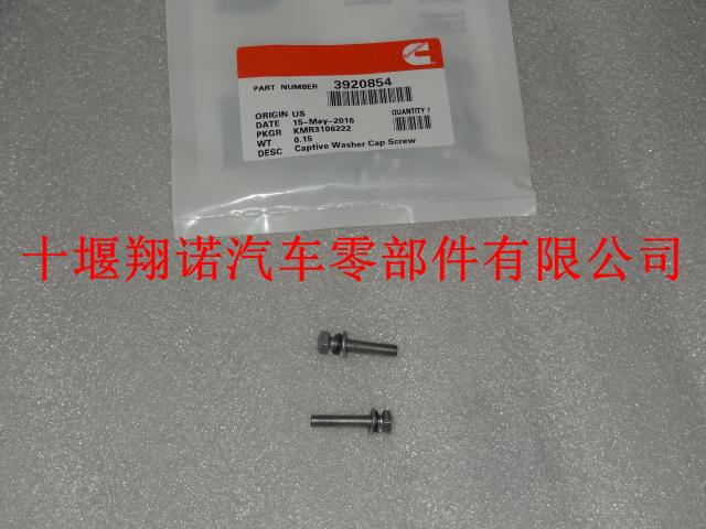 东风康明斯ISDE发动机带垫螺栓3920854