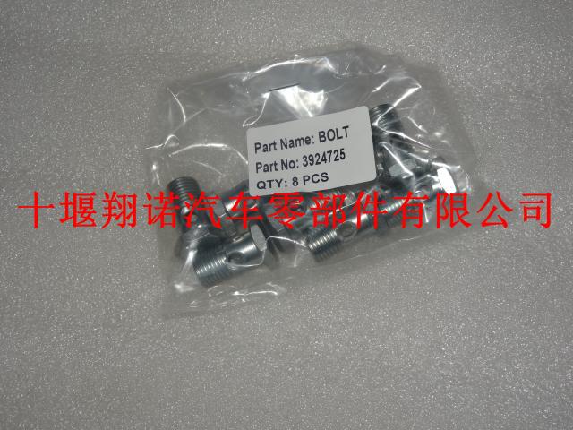 东风康明斯6CT发动机L琶形接头螺栓 3924725