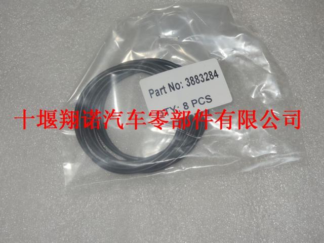 东风康明斯发动机配件 O型密封圈3883284