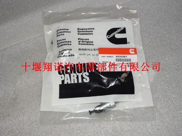 东风康明斯ISDE喷油器高压油管 4935981 