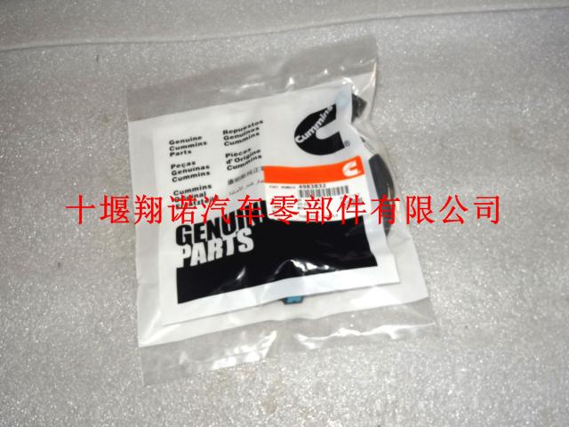 东风康明斯ISDE电控燃油输油管 4983832 5306328