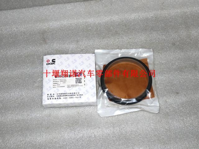 康明斯发动机曲轴后油封3973745 5259499
