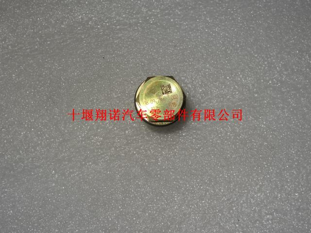 东风康明斯ISDe博世BOSCH油轨限压阀 5317174 3974093