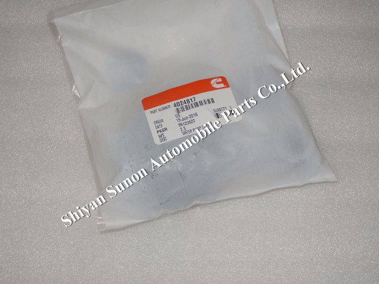 1484187692848419.jpg 水泵修理包4024817.jpg