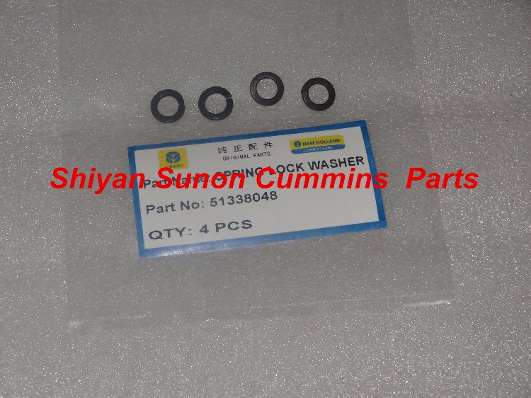 51338048.JPG