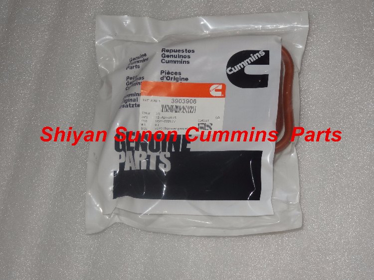 1489306506399055.jpg 气阀室罩垫3903906.JPG