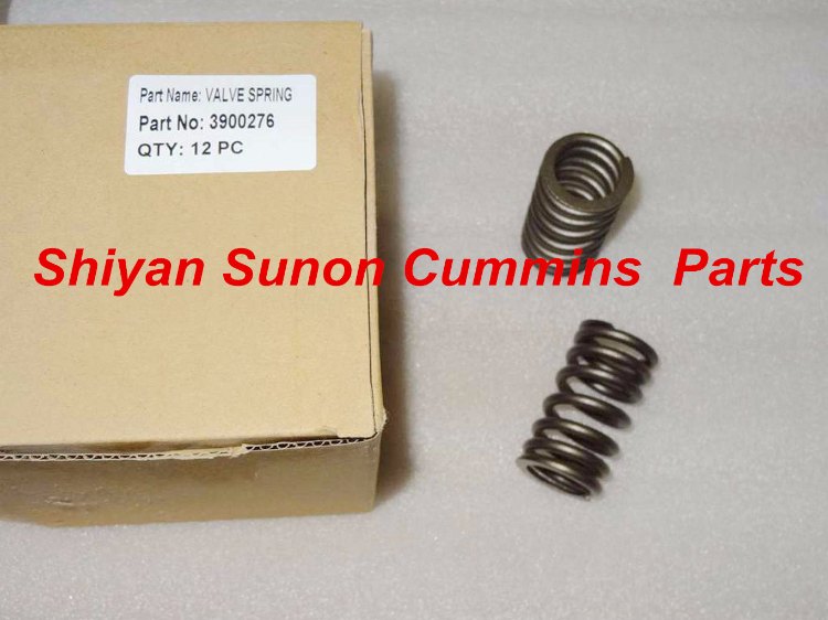 1490262607656595.jpg 弹簧3900276.JPG