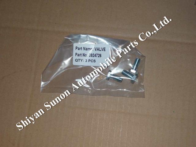 Cummins 6L 375hp diesel engine check valve 3924726