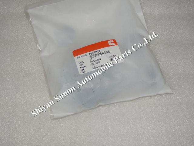 QSM11 Water Pump Repair Kit 3803261 4024817