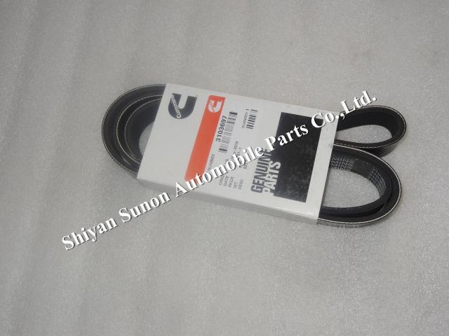 Cummins M11 QSM11 belt v ribbed 3103697
