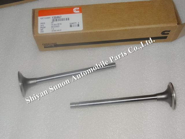 Cummins Diesel Engine NT855 Intake Valve 135957