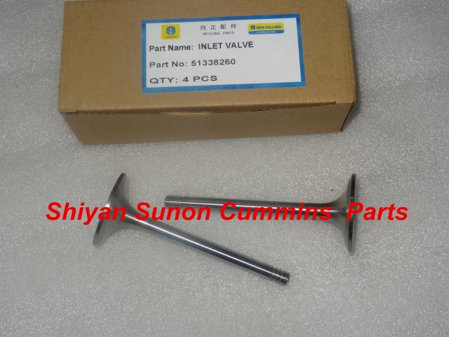 Inlet valve 51338260
