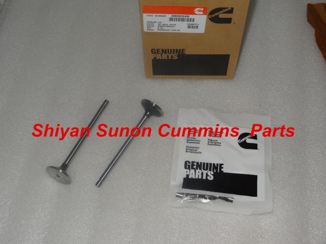 Engine Valve 3800340  