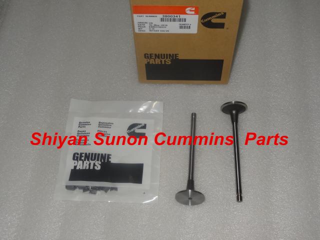 Engine Valve 3800341