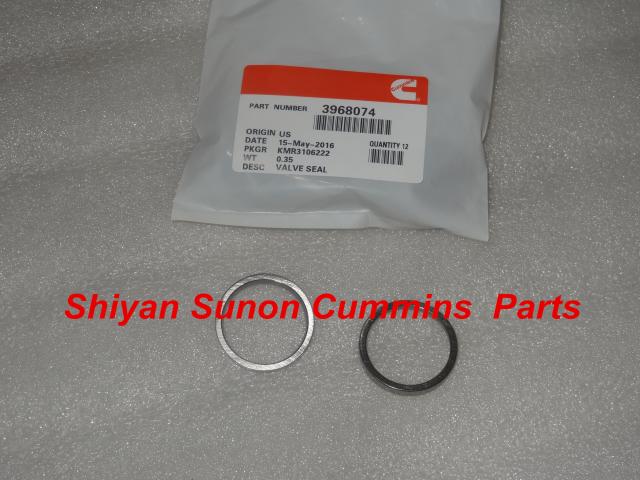 Diesel Engine Valve Seat 3968074