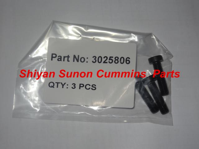 Socket head cap 3025806