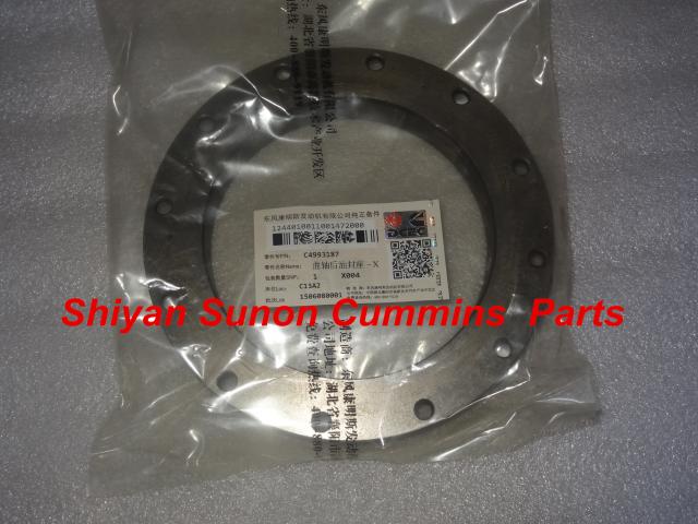 Rear oil seal seat C4993187