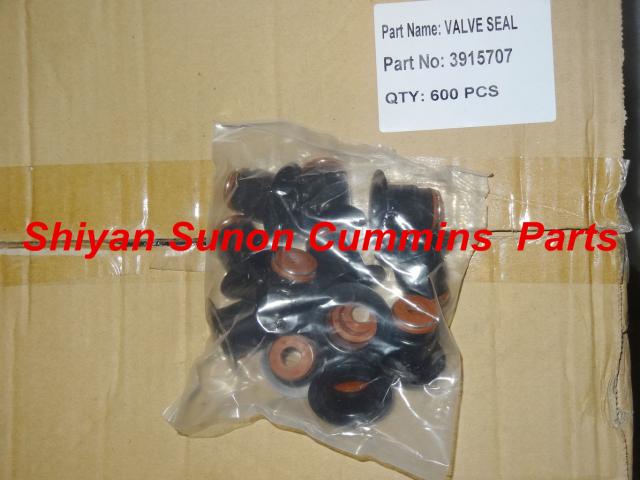 6CT cummins diesel engine parts valve oil seal 3915707 3955394