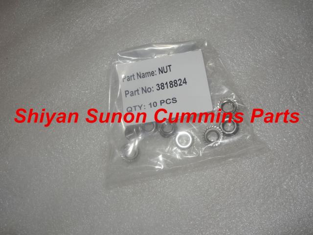 Cummins Diesel engine part 6CT hexagon flange nut 3818824