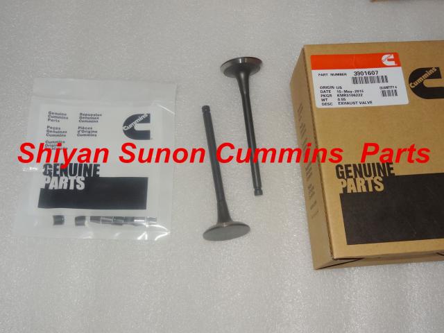 Cummins 4BT3.9 exhaust valve 3901607
