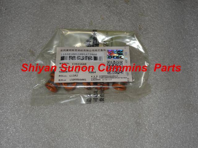 High Quality Genuine Cummins Valve Oil Seal 3921640 for cummins 6BT5.9 Engine