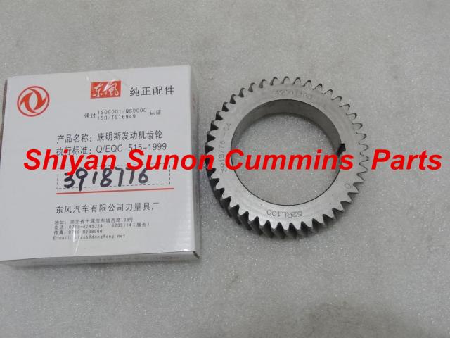 Cummins 6CT Diesel engine parts Crankshaft Gear 3918776