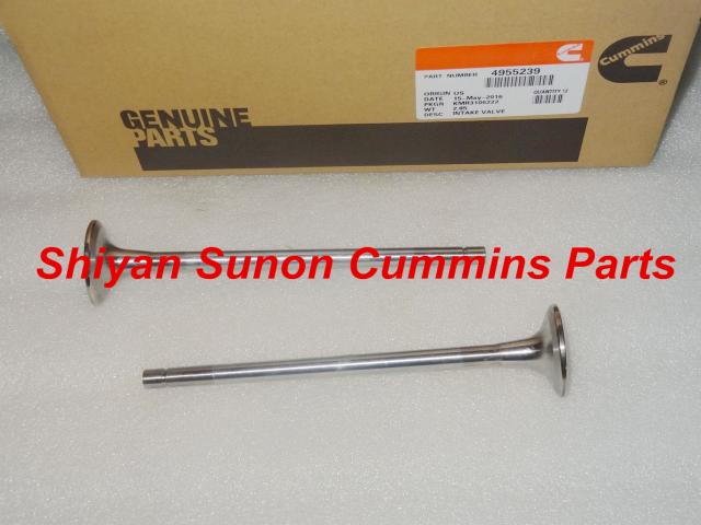 QSM11 cummins Intake valve & Exhaust Valve 4955239 3417778