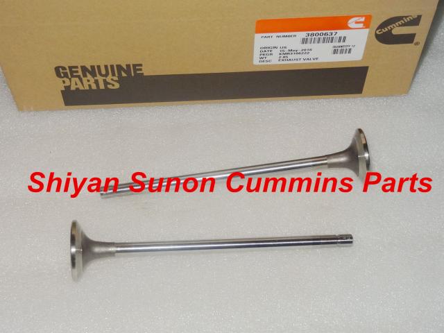 Dongfeng M11 Exhaust Valve 3800637
