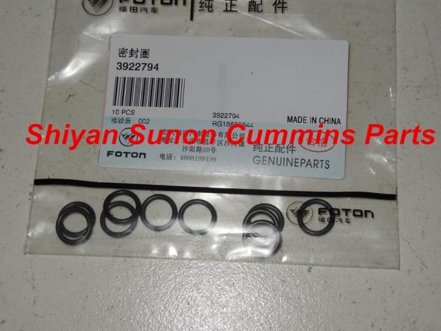 cummins 3922794 sealing ring