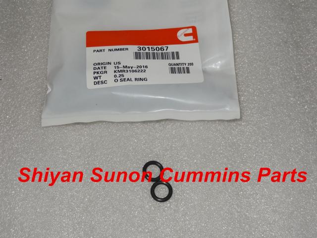 Cummins KTA19 seal O ring 3015067