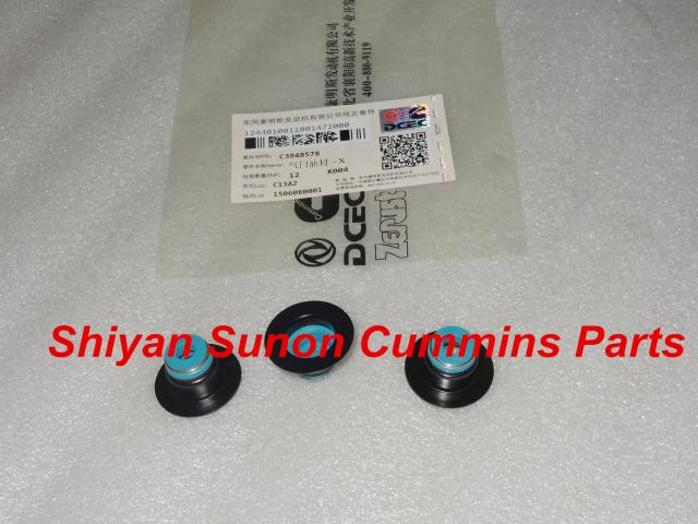 Cummins Parts Valve Oil Seal 3955393 3901097 3957912 3948578